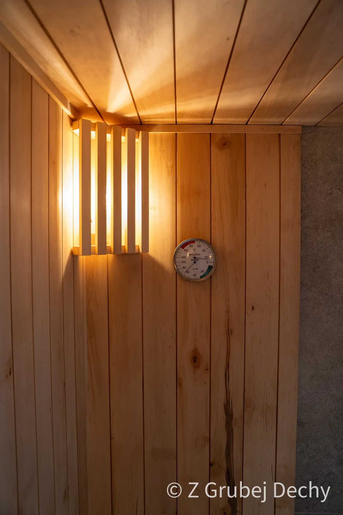 Sauna jednospadowa ukryta Z Grubej Dechy