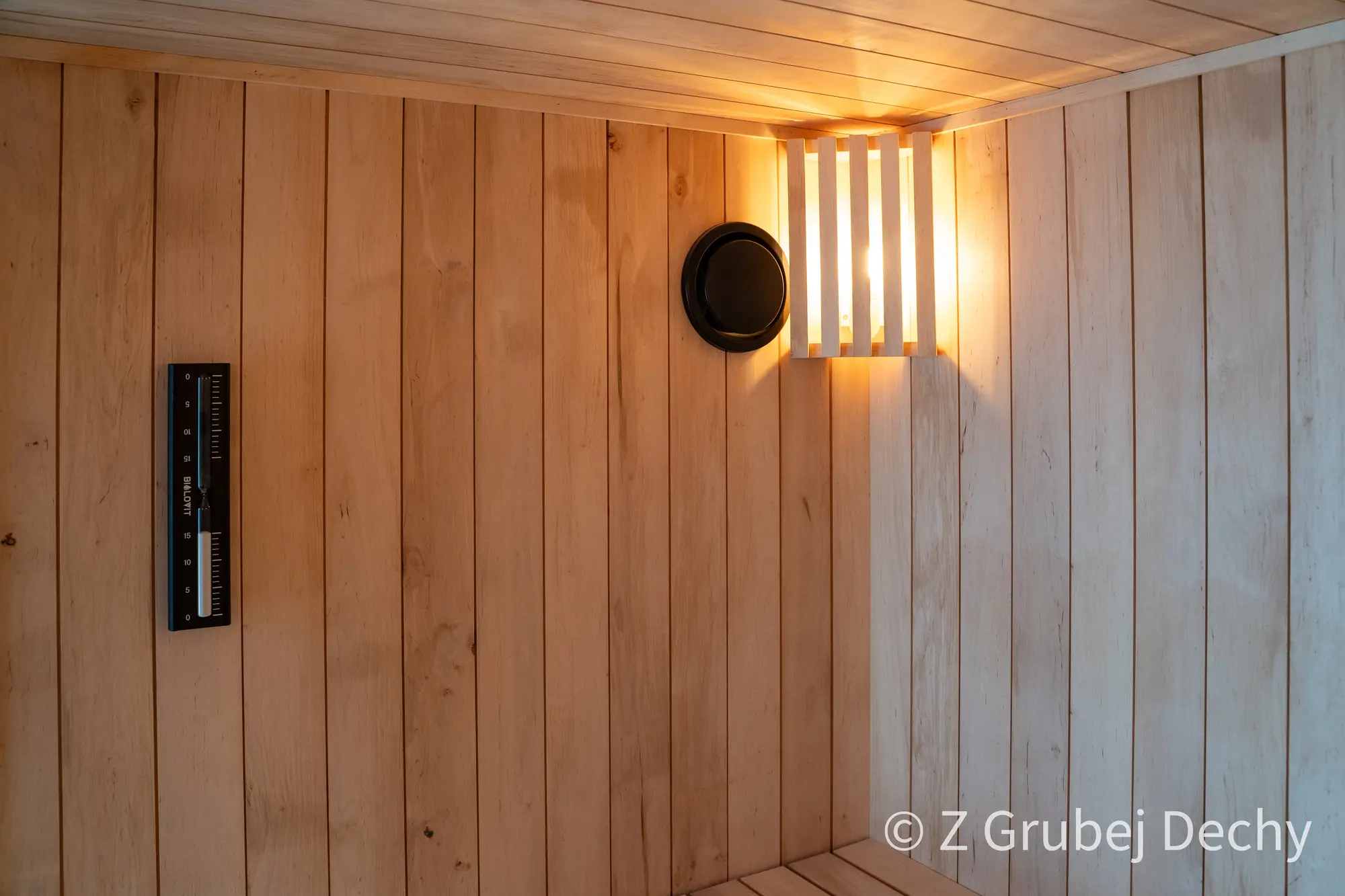 Sauna jednospadowa ukryta Z Grubej Dechy