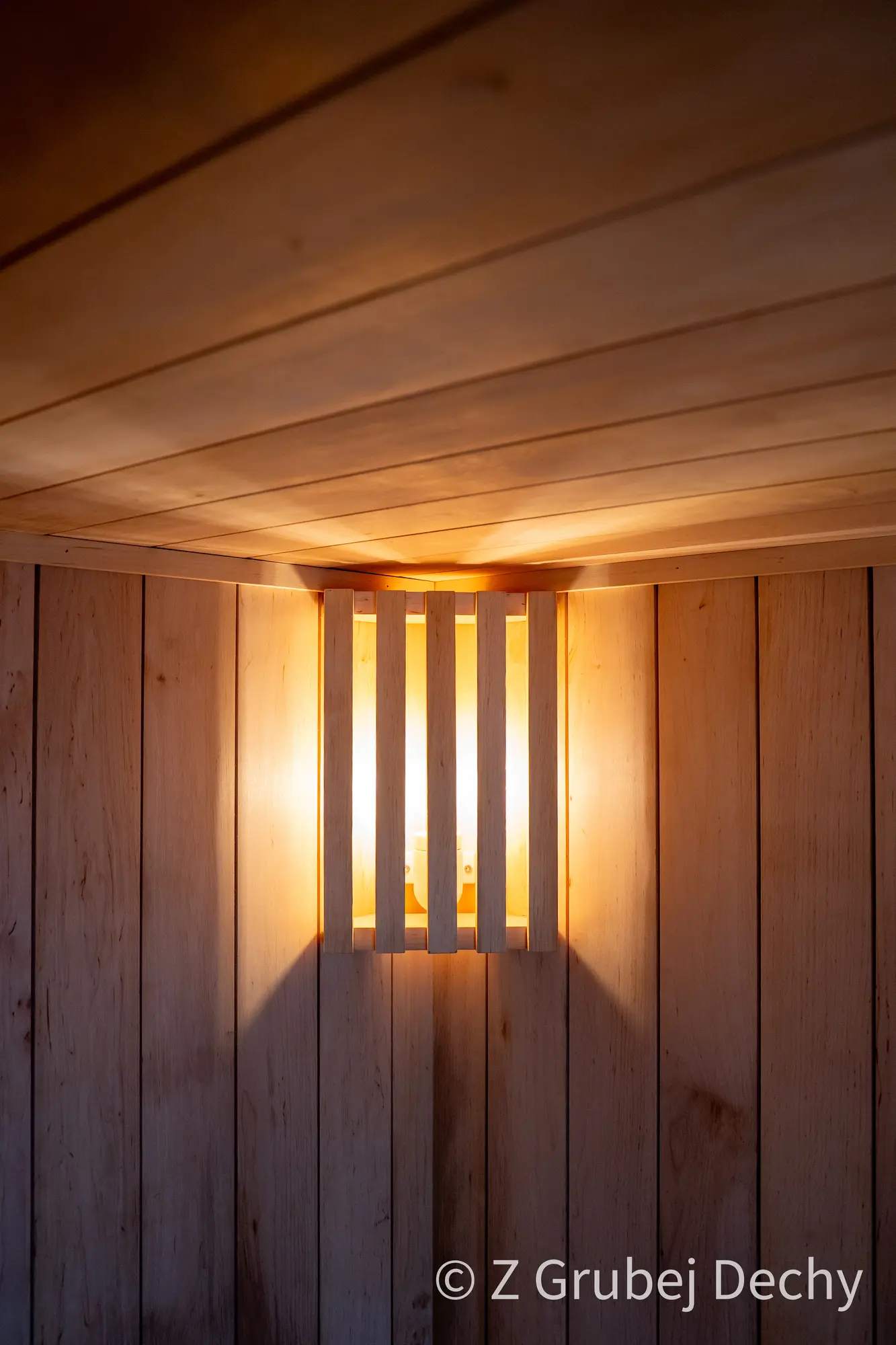 Sauna jednospadowa ukryta Z Grubej Dechy